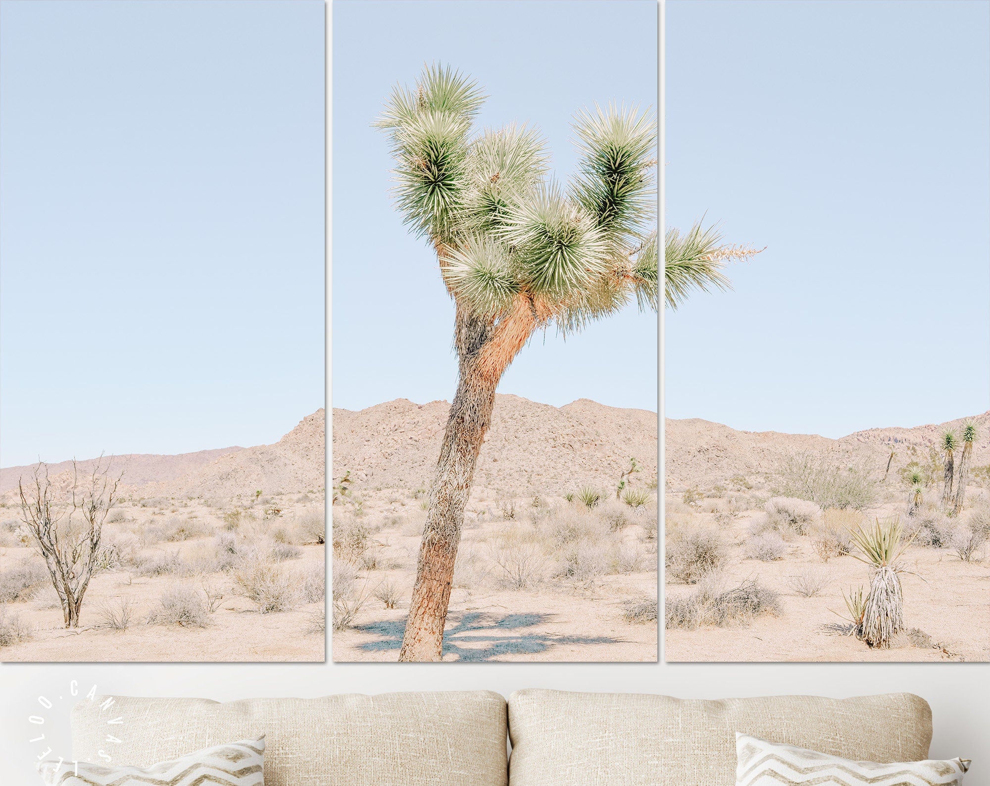 Joshua Tree Canvas Print // Extraordinary Stone Formations And Yucca In Nature In The Joshua Tree National Park California