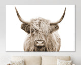 Highland Cow Sepia Canvas Print // Highland Cow Sepia Canvas Wall Decor