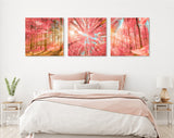 Pink Forest Trees Canvas Wall Art // Sunlight Shining Through Pink Trees Triptych Canvas Print