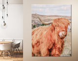 Highland Cattle Canvas Wall Art // Long-haired Scottish Cattle Canvas Print // Brown West Highland Cattle Art Print