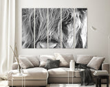 Highland Cow Wall Decor // Highland Cow Black and White Canvas Print