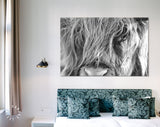 Highland Cow Wall Decor // Highland Cow Black and White Canvas Print