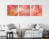 Pink Forest Trees Canvas Wall Art // Sunlight Shining Through Pink Trees Triptych Canvas Print