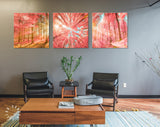 Pink Forest Trees Canvas Wall Art // Sunlight Shining Through Pink Trees Triptych Canvas Print