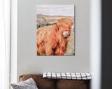 Highland Cattle Canvas Wall Art // Long-haired Scottish Cattle Canvas Print // Brown West Highland Cattle Art Print