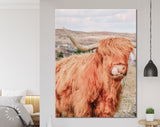 Highland Cattle Canvas Wall Art // Long-haired Scottish Cattle Canvas Print // Brown West Highland Cattle Art Print