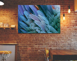 Blue Feather Canvas Print // Close-up of Beautiful Bird Feathers of Blue and Yellow Macaw Wall Art