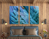 Blue Feather Canvas Print // Close-up of Beautiful Bird Feathers of Blue and Yellow Macaw Wall Art