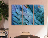 Blue Feather Canvas Print // Close-up of Beautiful Bird Feathers of Blue and Yellow Macaw Wall Art