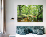 Forest Lake Canvas Print // The New Forest National Park Hampshire Wall Art