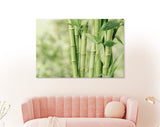 Bamboo Canvas Print // Beautiful Green Bamboo Stems Wall Art