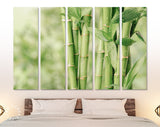 Bamboo Canvas Print // Beautiful Green Bamboo Stems Wall Art