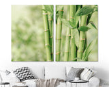 Bamboo Canvas Print // Beautiful Green Bamboo Stems Wall Art