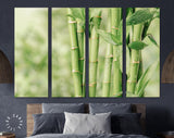 Bamboo Canvas Print // Beautiful Green Bamboo Stems Wall Art