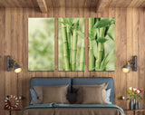 Bamboo Canvas Print // Beautiful Green Bamboo Stems Wall Art