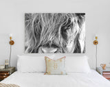 Highland Cow Wall Decor // Highland Cow Black and White Canvas Print