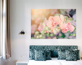 Orchid Canvas Print // Beautiful Orchid Flower in Orchid Garden Wall Art