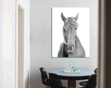 Black and White Horse Canvas Print // Black and White Portrait Of A Horse With A Light Mane Wall Art