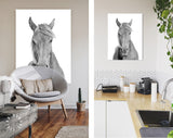 Black and White Horse Canvas Print // Black and White Portrait Of A Horse With A Light Mane Wall Art