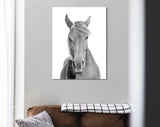 Black and White Horse Canvas Print // Black and White Portrait Of A Horse With A Light Mane Wall Art