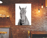 Black and White Horse Canvas Print // Black and White Portrait Of A Horse With A Light Mane Wall Art