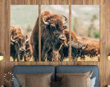 American Bison Canvas Print // American Buffalo Wall Art