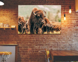 American Bison Canvas Print // American Buffalo Wall Art