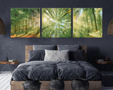 Forest Trees Canvas Wall Art // Sunlight Shining Through Trees Triptych Canvas Print