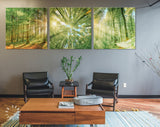 Forest Trees Canvas Wall Art // Sunlight Shining Through Trees Triptych Canvas Print