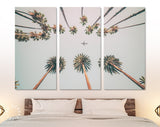 Palm Trees and Sky Canvas Print // Palm Trees, Sky and Aircraft Flying Wall Art