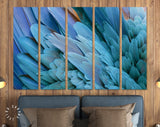 Blue Feather Canvas Print // Close-up of Beautiful Bird Feathers of Blue and Yellow Macaw Wall Art