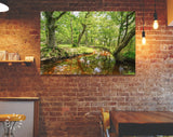 Forest Lake Canvas Print // The New Forest National Park Hampshire Wall Art