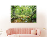 Forest Lake Canvas Print // The New Forest National Park Hampshire Wall Art