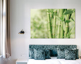 Bamboo Canvas Print // Beautiful Green Bamboo Stems Wall Art