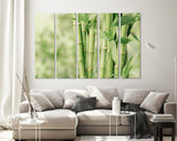 Bamboo Canvas Print // Beautiful Green Bamboo Stems Wall Art