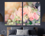 Orchid Canvas Print // Beautiful Orchid Flower in Orchid Garden Wall Art