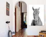 Black and White Horse Canvas Print // Black and White Portrait Of A Horse With A Light Mane Wall Art