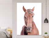 Brown Horse Canvas Print // Portrait Of A Brown Horse With A Light Mane Wall Art