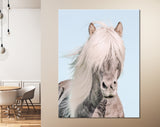 Blonde Horse Canvas Print // Portrait Of A Blonde Horse Wall Art