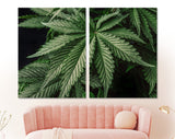 Marijuana Leaf Canvas Print // Weed for recreational purposes