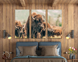 American Bison Canvas Print // American Buffalo Wall Art