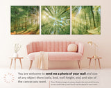 Forest Trees Canvas Wall Art // Sunlight Shining Through Trees Triptych Canvas Print