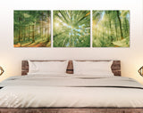 Forest Trees Canvas Wall Art // Sunlight Shining Through Trees Triptych Canvas Print