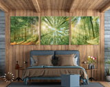 Forest Trees Canvas Wall Art // Sunlight Shining Through Trees Triptych Canvas Print