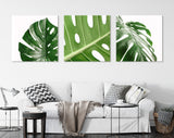 Monstera Leaf Canvas Wall Art // Minimalist Leaves of Monstera Plant Triptych Canvas Print