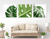 Monstera Leaf Canvas Wall Art // Minimalist Leaves of Monstera Plant Triptych Canvas Print