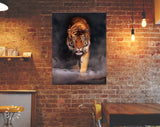 Crouching Tiger Canvas Print // Tiger In The Shadows