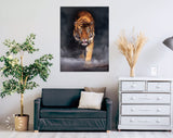 Crouching Tiger Canvas Print // Tiger In The Shadows