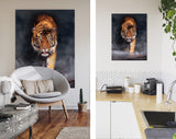 Crouching Tiger Canvas Print // Tiger In The Shadows