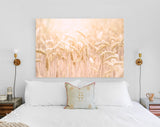 Grain field Canvas Print // Agricultural Field Wall Art